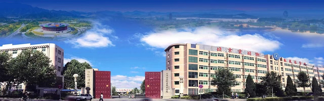 Beat365中文官方网站2025届毕业生推介