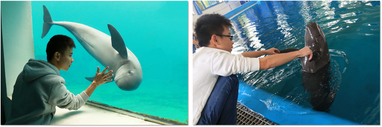 1658627854106022.png 图片4.png