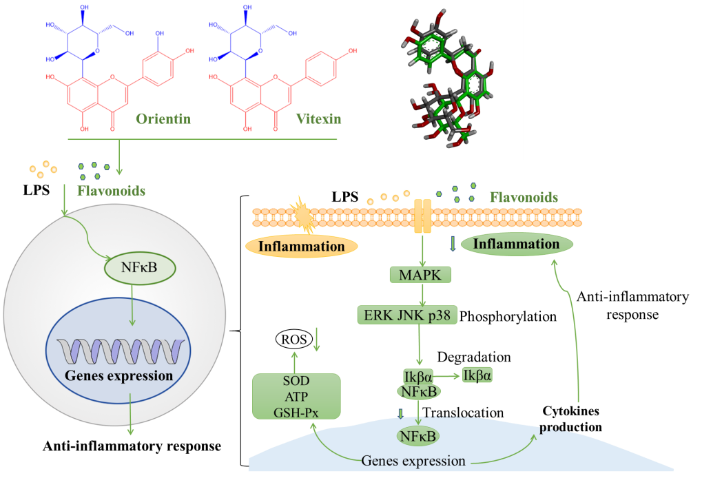 1651472386262521.png 2.png